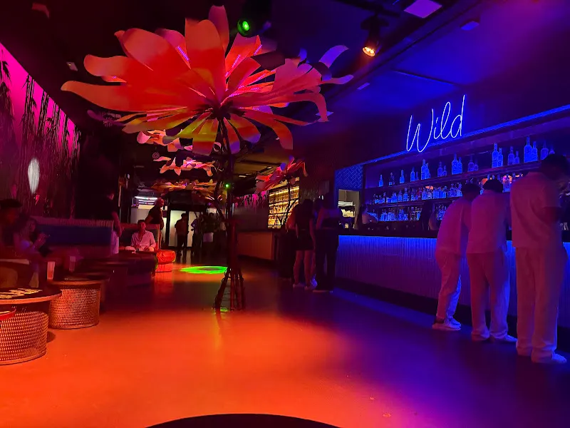 Wild Club Lloret