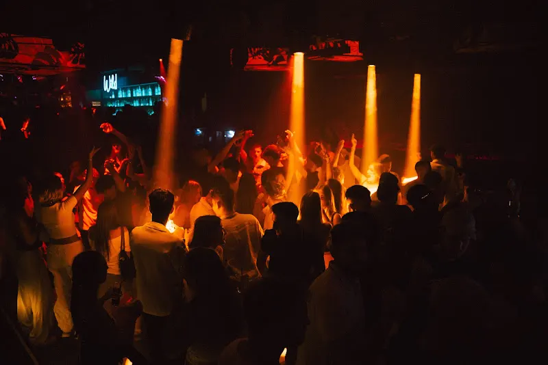 Wild Club Lloret - Discoteca en Lloret de Mar - foto 2