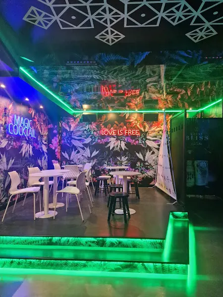 Lounge Magic Cocktail - Bar en Torre Pacheco - foto 2