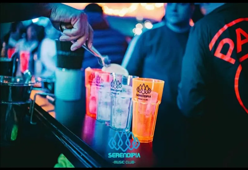 SerendipiaVillena - Villena