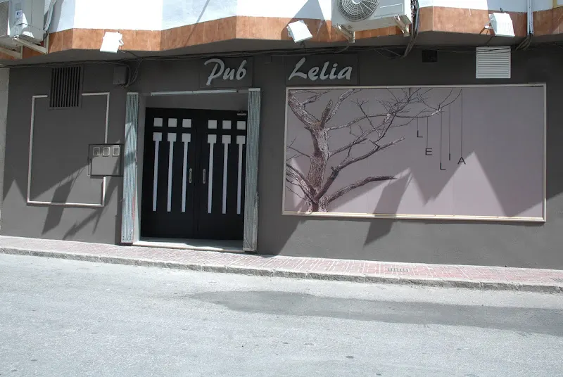 Pub Lelia - Pub en Sabiote - foto 2