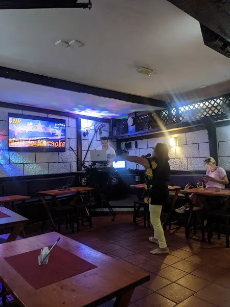 Bodega Mario - Karaoke en Puerto de la Cruz - foto 2