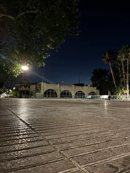 Nativa Discoteca - Xàtiva
