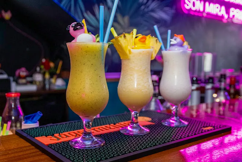 The Suite Calafell | Pub Musical - Calafell