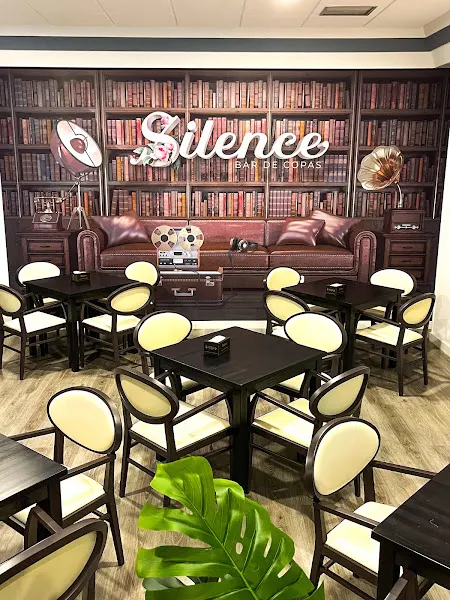 SILENCE BAR DE COPAS - Bar en Ciempozuelos - foto 2