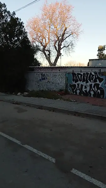 Xque