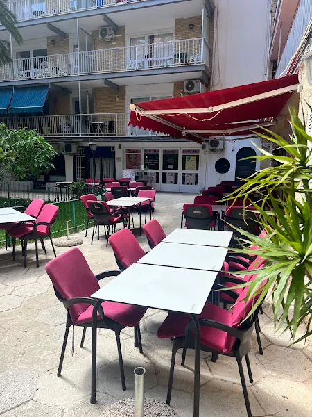 PUB DELFIN. - Pub en Calpe - foto 3