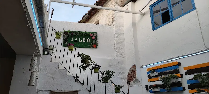 Jaleo Café & Copas - Bar en Pozoblanco - foto 2