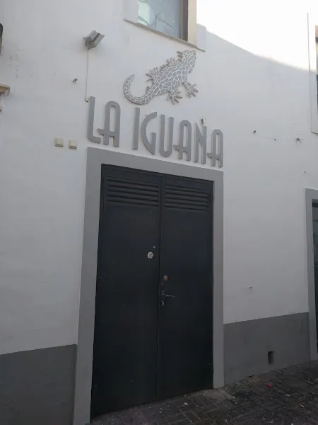 Iguana - Discoteca en Olivenza - foto 2