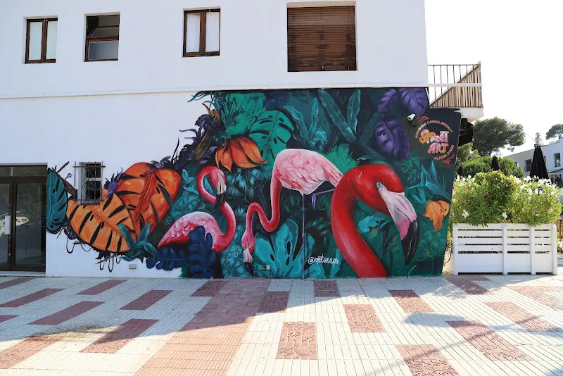 Moana discoteca - Castell-Platja d'Aro