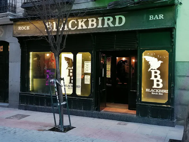 Blackbird - Bar musical en Madrid - foto 2
