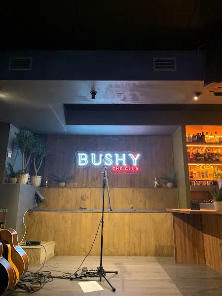 Bushy the Club - Vitoria-Gasteiz