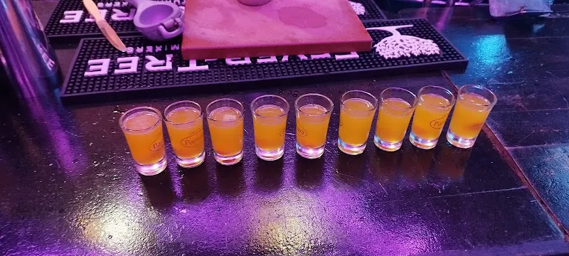 Bandido Club Elche - Club nocturno en Elche - foto 2