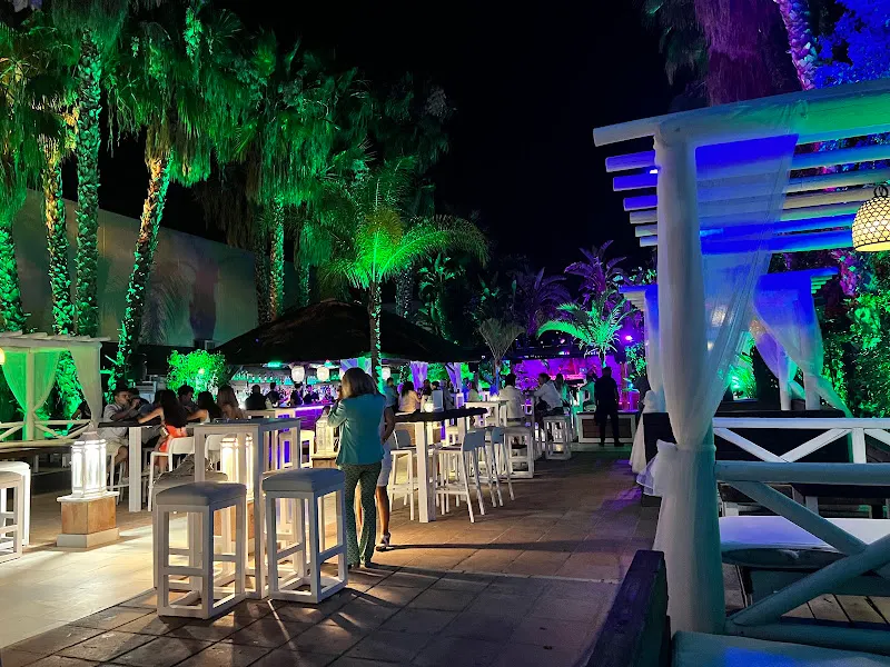 Blue Monkey - Discoteca en Jerez de la Frontera - foto 2