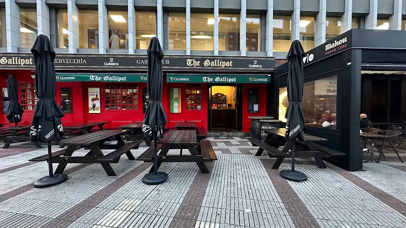 The Gallipot - Pamplona
