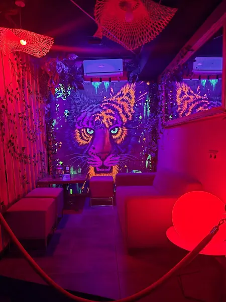 Bavaro Lounge Disco - Discoteca en Fuenlabrada - foto 2
