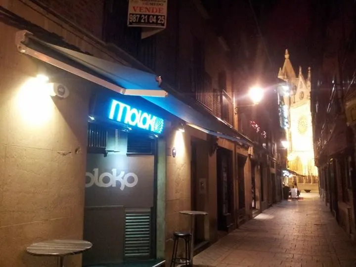 Moloko León - Pub en León - foto 2