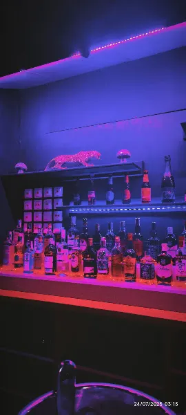 Vip Lounge Discoteca - Discoteca en Torrevieja - foto 2