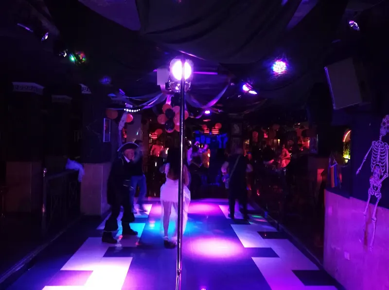 Zoo LGTB Disco - Discoteca en Torrevieja - foto 2