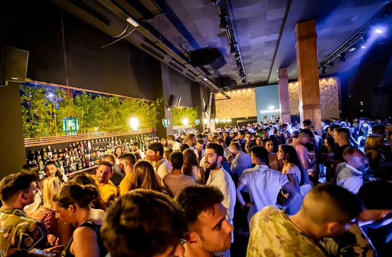 Maremagna Latino - Discoteca en Torrevieja - foto 2