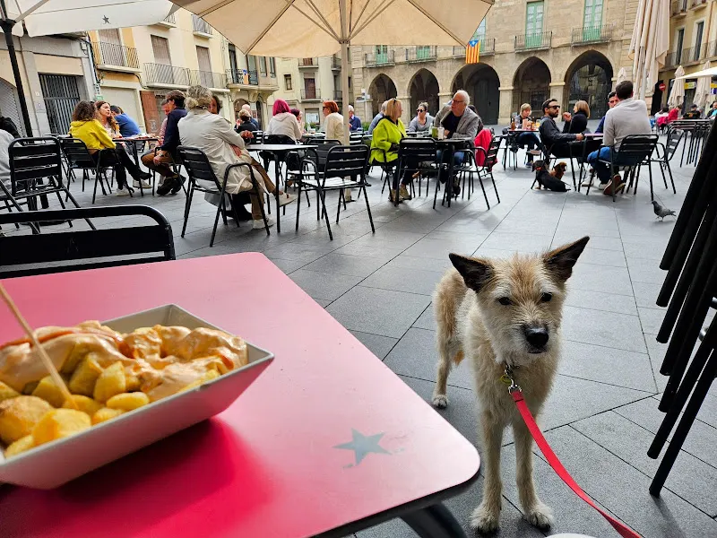 Sant Ignasi - Lounge en Manresa - foto 2