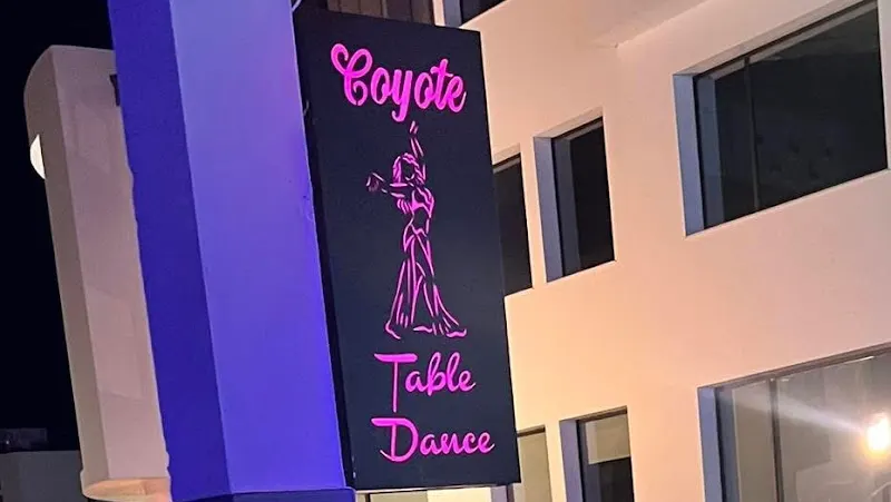 Coyote Table Dance - Club nocturno en Benalmádena - foto 2