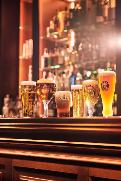 Cooper´s Pub en Estepona