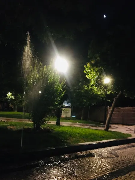 Lugar de fiesta - Mérida