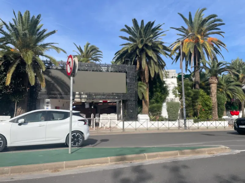 Pacha